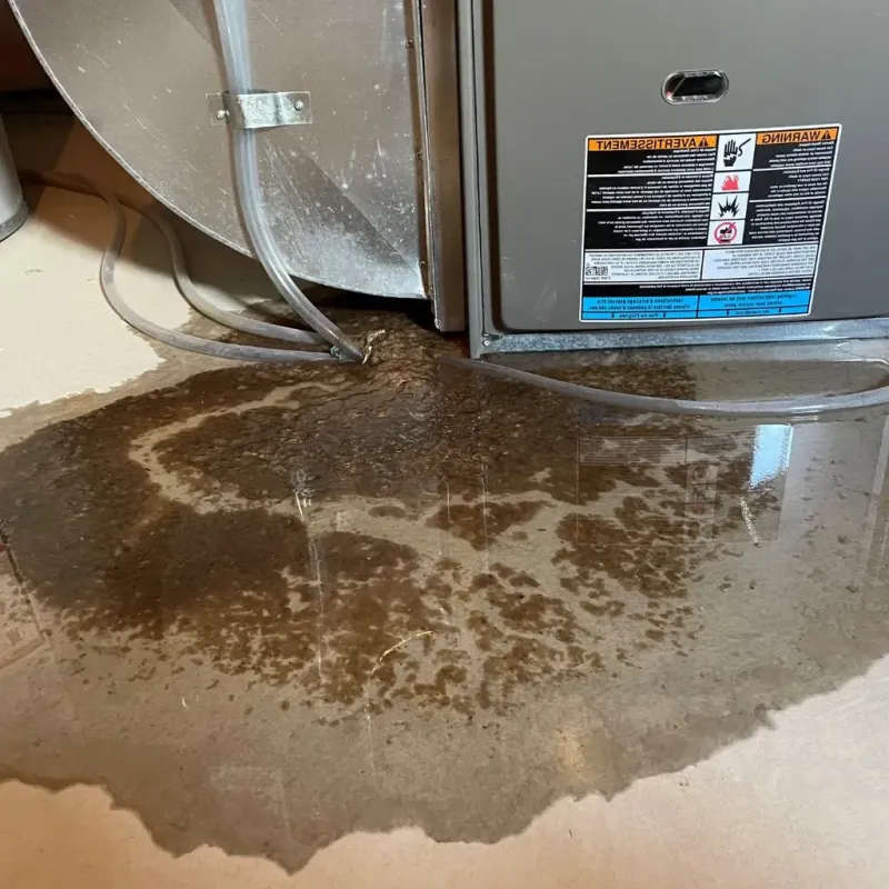 Pipe Burst and Leak Restoration in Holiday Heights, NJ