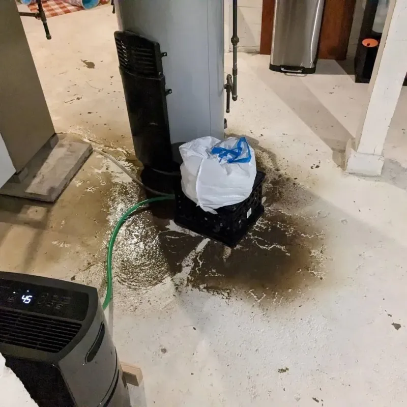 Sewage Backup Cleanup Service in Holiday Heights, NJ